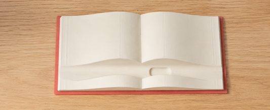 E-Reader stand